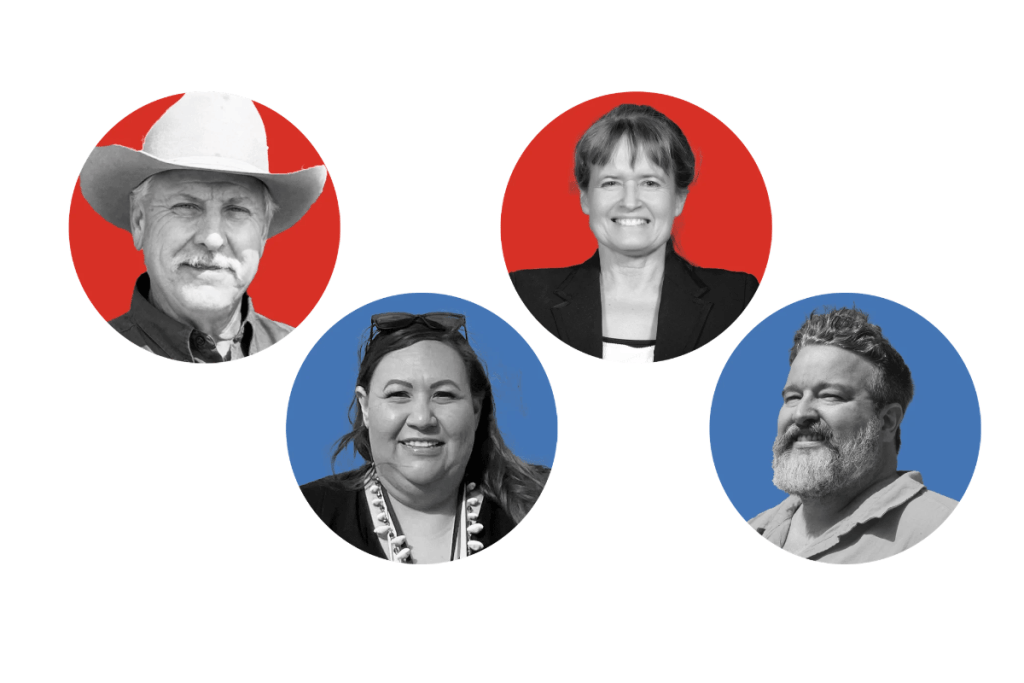 Montana Public Service Commission Election: Key Districts and Candidates