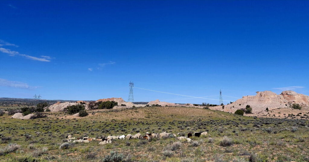 Navajo Community Rejects Copper Mine Proposal, Prioritizes Land Protection
