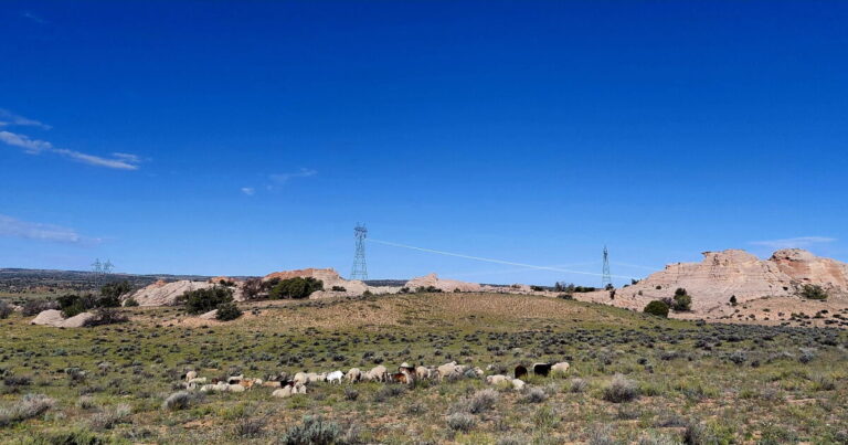 Navajo Community Rejects Copper Mine Proposal, Prioritizes Land Protection