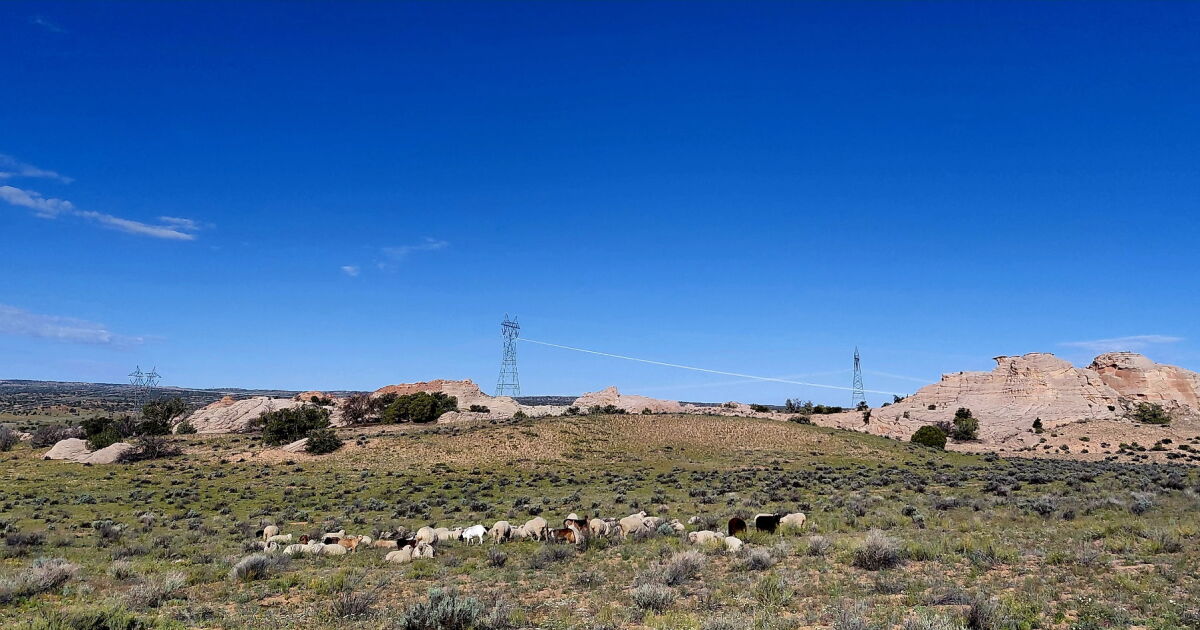 Navajo Community Rejects Copper Mine Proposal, Prioritizes Land Protection Navajo Community Rejects Copper Mine Proposal, Prioritizes Land Protection