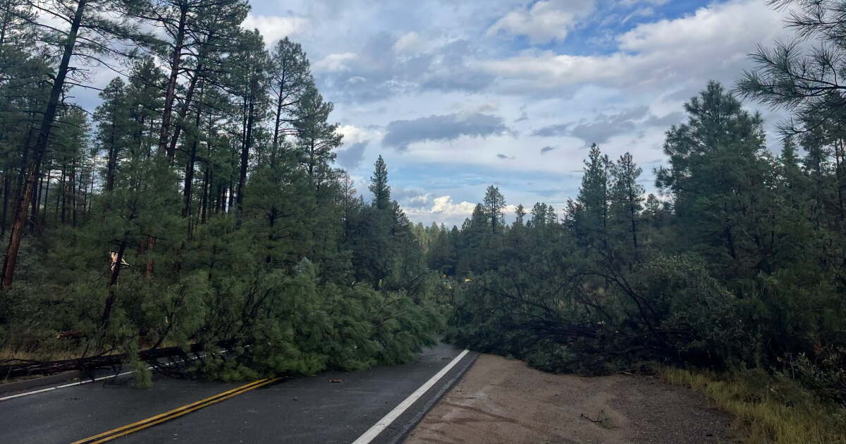 Tornado Warnings Sweep Northern Arizona, Largest Since 2010 Tornado Warnings Sweep Northern Arizona, Largest Since 2010